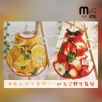 作品ペア割 フルーツまみれセット🍓🍊 アスティンムーラー うさぎハーネス