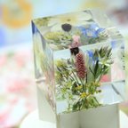 作品【本物のお花】秋の山野草のブロックフラワー9