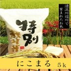 作品新米特別栽培米にこまる5ｋg　熊本県相良村産　令和3年産　1等米　精白米　