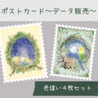 作品【データ販売】鳥さんたちのポストカード