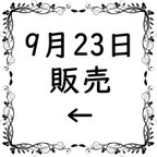 作品9月23日　グラスアイ販売