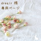 作品【dreqir様専用ページ】