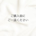 作品ご購入前に必ずご一読ください