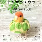 作品人気【新作🐤トリザベスカラー】PPシート入り(クリアファイル素材) S〜L 5サイズ　インコ エリザベスカラー