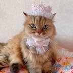 作品犬 バースデー クラウン ベビーピンク ♡ 猫 誕生日 王冠 犬帽子 猫帽子 ペット帽子 フリル リボン パール うちの子記念日 かぶりもの 被り物