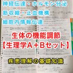 作品医療系学科定期試験、国家試験対策シリーズ【生理学Ａ＋B】まとめノートセット