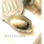 作品【再販】牡蠣ピアス（ノーマル）⚠️片耳⚠️