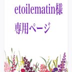 作品✳︎etoilematin 様　専用ページ