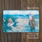 作品message card 『海辺二咲ク花』