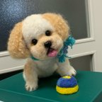 作品うちの子オーダー　ミックス犬