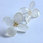 作品シンプル紫陽花☆white