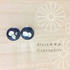 作品【BLACK＊かすみ草】イヤリング