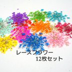 作品１２枚＊レースフラワー押し花