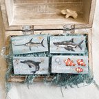 作品【木製】海の生き物マグネット⭐︎カジキマグロ/サメ/イルカ/カクレクマノミ（受注制作可）