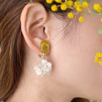 作品【期間限定】ミモザと紅茶染め布花の春イヤリング/ピアス　イエロー　コットンパール　チェコビーズ　ふわふわ　クリア　フラワー　お出かけ　限定