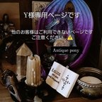 作品✨️ Y様専用ページ ✨️《栞 ・ピアス》