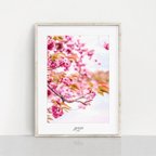 作品春の息吹を室内に - 鮮やかな八重桜のアートプリント e854 2L A5 A4 A3 B3 A2 B2 A1 サイズ ポスター インテリア 花 フローラル ピンク 写真 植物