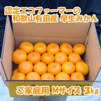 作品【ご家庭用・Ｍサイズ】和歌山有田産！早生みかん≪3㎏≫★11月下旬～順次発送