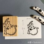 作品【オオサンショウウオ】両生類シリーズ