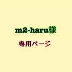 作品m2-haru様専用ページ✩.*˚