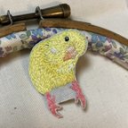 作品小鳥の刺繍ブローチ セキセイインコ ルチノー