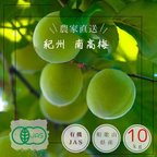 作品【特別栽培】 訳あり 青梅  10㎏ 予約販売 農家直送 有機JAS認定