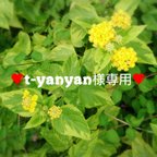 作品t-yanyan様専用❤ベビーブルマ②