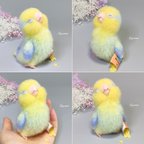 作品寝落ちインコ💤  〜ポテトチップスver.〜【マメルリハインコ】