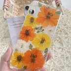 作品オレンジとイエローの黄花コスモスの押し花スマホケース　　全機種対応　iphone/GALAXY/AQUOS/xperia/pixel