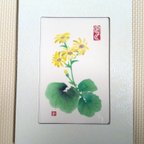 作品石蕗の花❀