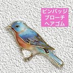 作品ルリツグミ　鳥　野鳥　ことり　レジン　ブローチ　ハンドメイド　チャーム