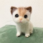 作品小さなマンチカン＊羊毛フェルト＊ねこ＊こねこ