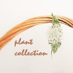 作品【受注生産】plant  collection アナベル イヤリング♢ピアス  片耳用