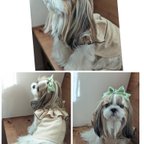 作品犬服❤︎フリルワンピース 完成品