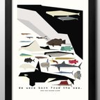 作品14882■ポスター　絵画　A3サイズ　『海洋生物　魚　図鑑　博物館』　アート　イラスト　デザイン　上級マット紙採用　北欧