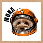 作品うちの子　イラスト　　宇宙飛行士編　ハット　オーダーメイド　ペット　犬　猫　赤ちゃん　データ