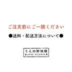 作品【ご案内】送料・配送方法について