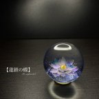 作品【蓮鎖の蝶】  25mm