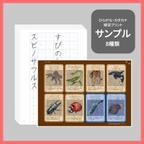 作品【送料無料】ひらがな・カタカナプリント｜サンプル｜ごほうびカード付き｜学習プリント