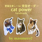 作品【受注制作】愛猫 愛犬♡ 我が子ステッカー (全身)