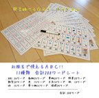 作品【知育グッズ】お風呂で使えるえいご★200ワード