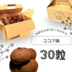 作品かぼちゃのベビーカステラ　ココア　30粒