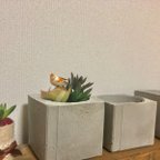 作品植木鉢 セメント