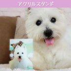 作品✺送料無料✺Dear my pet フォトスタンド