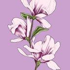 作品Magnolia art, Pop-art style, postcard size. March's Flower - 木蓮のアート、ポップアートスタイルはがき、３月の花