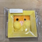 作品もちもち！シロハラインコ