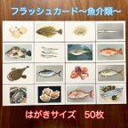 作品右脳が目覚める‼︎フラッシュカード　魚介類　50枚