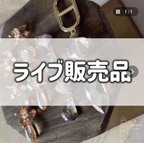 作品4/16 onosato***様専用ページ  ライブご購入品