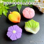 作品【送料無料】おまかせ季節の上生菓子4個入 プレゼント 贈り物 贈答 ギフト 和菓子 誕生日 練り切り 本格派 両親 お取り寄せ ご褒美