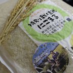 作品令和５年産特別栽培米にこまる　精米２kg